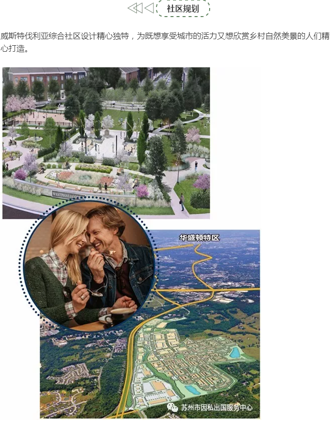 7.png 7.png